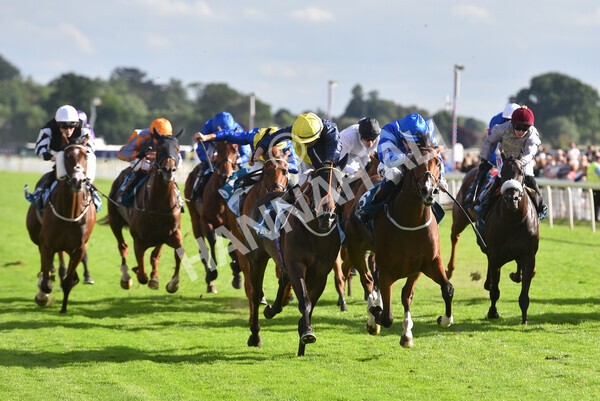 yr19082022r7-36 - Race 7 5.20pm Sky Bet Mile Stakes