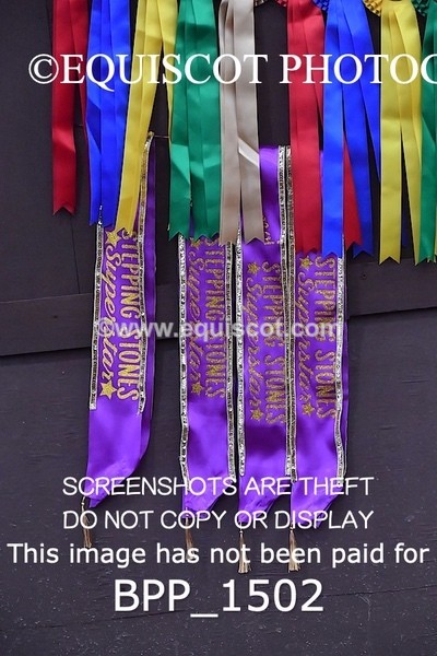 BPP_1502 - CLASS 7 Stepping Stones 128/ 138cms Handicap