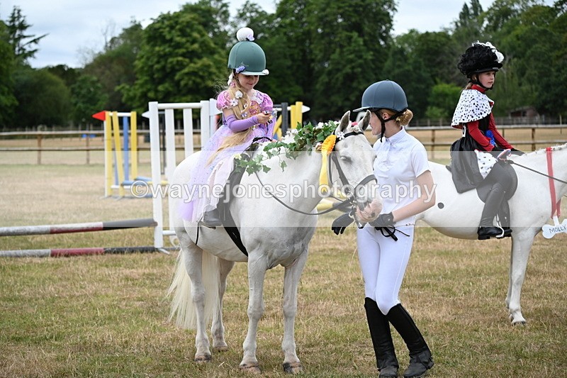 WJ6_5040 - Class 11 Fancy Dress