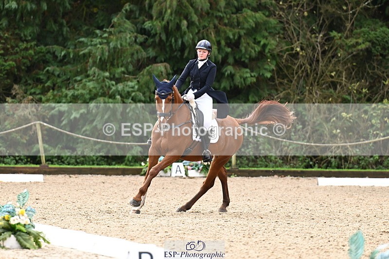 251023A-124242-02305 - B-154-Holly.Law