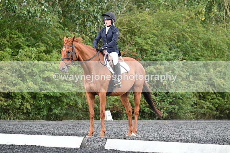 WJ7_7934 - Time 13:40 to 14:00