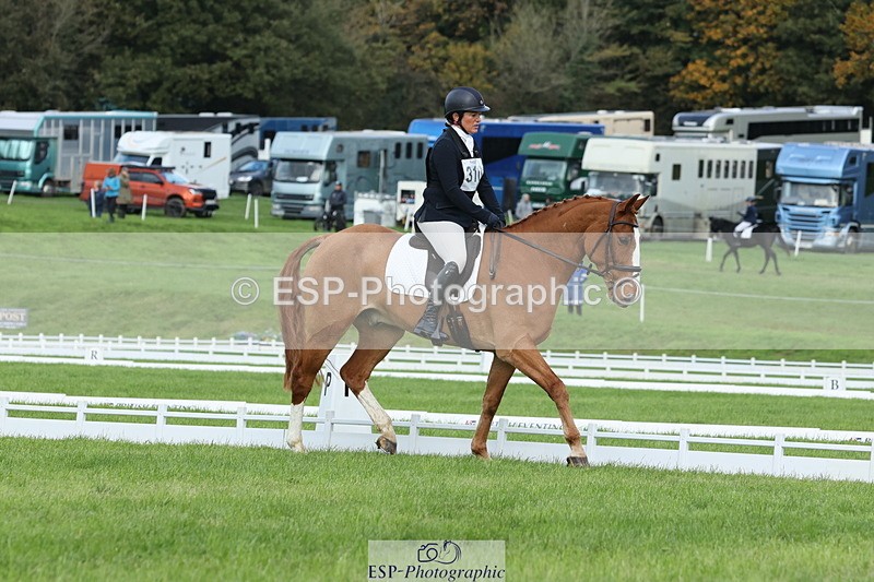 251023A-104824-03230 - D-310-Emily.R.Vincent