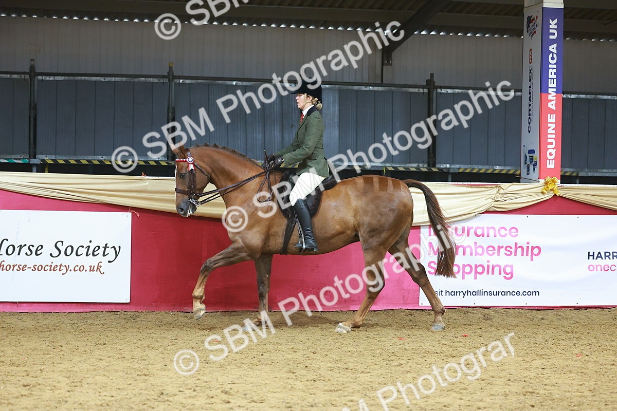 SBM_09655 - Class 102 - HOYS Veteran Qualifier - Ridden Veteran