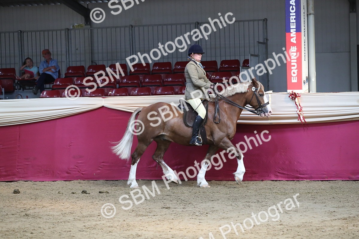 SBM_08323 - Class 11R Regional Ridden Veteran