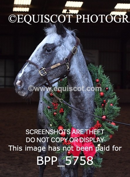 BPP_5758 - Marion West pony 2