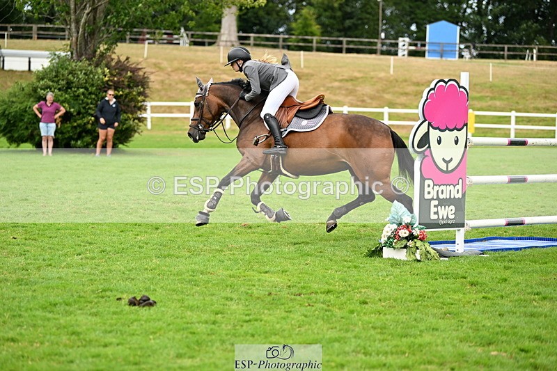 250706A-141714-20431 - Cls 45 Snr 1.20m Grand Prix