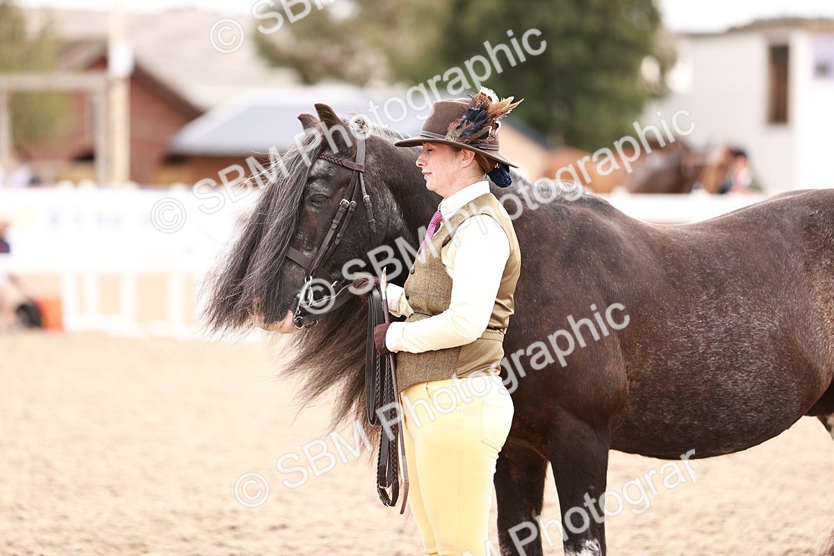 SBM_16346 - Class 413 - Best Condition - Adult