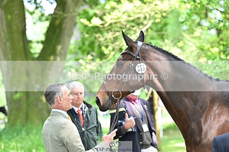 250521A-151532-00379 - B-355-Andrew.James-PRIMITIVE.PROPOSITION