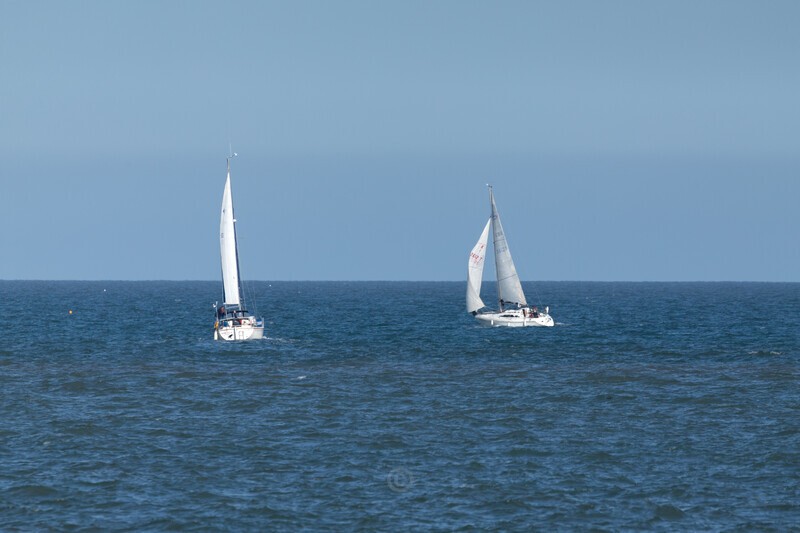 We are sailing - Latest Images