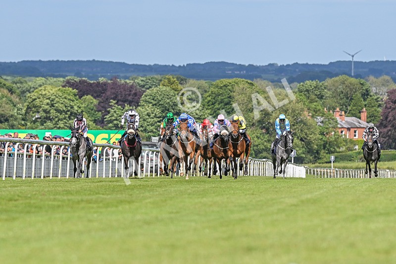 080624-Race 7-This Years Love-7638 - Race 7