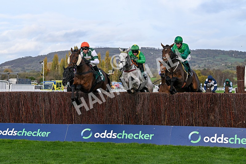241025-Race 5-Calico-4512 - Race 5