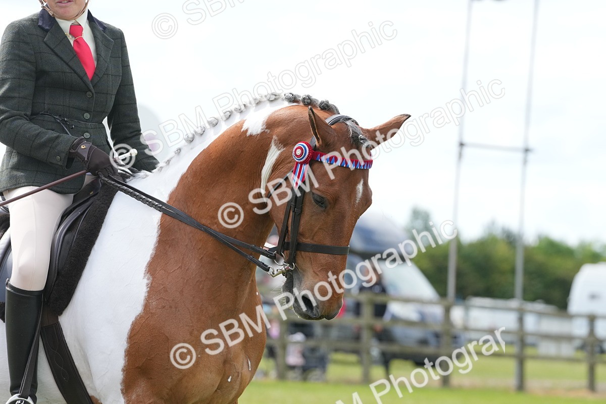 SBM_17590 - Class 107-108 - LIHS BSPS Performance Coloured Horse Pony