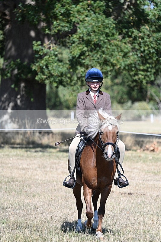 WJ7_3997 - Class 9 Mountain & Moorland Ridden