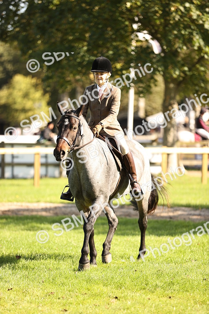 SBM_16971 - S2 - TSR Ridden Pony Showing