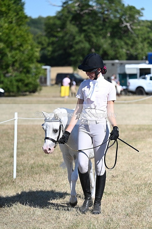 WJ7_1784 - Class 43 Best Six Legs (In hand)