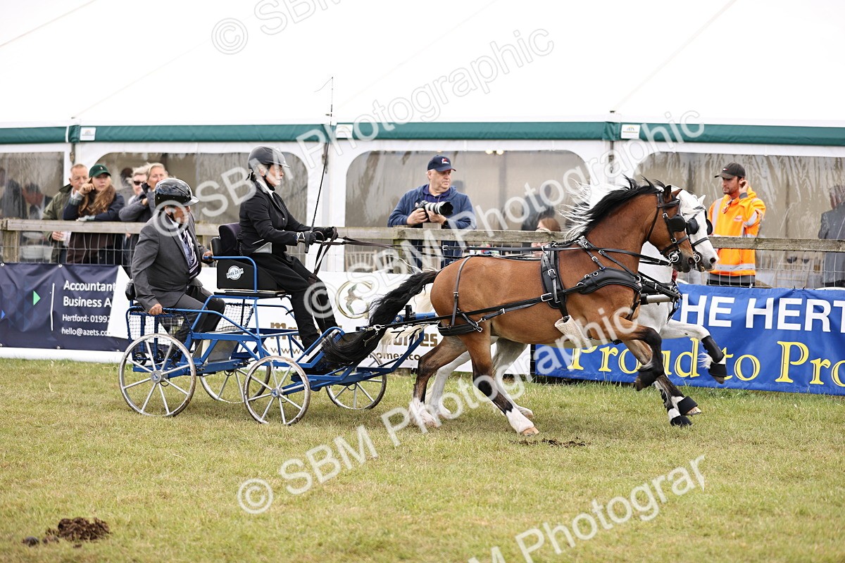 SBM_15236 - Class 90 - Scurry 122cm and Under