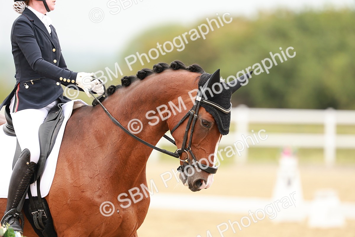 SBM_009197 - Class 12 - Elementary 6 - 10.50-11.50