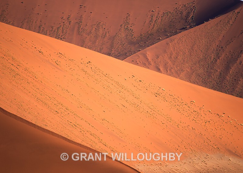 sandune abstract - Namibia