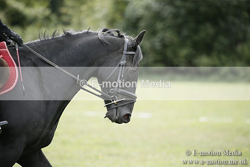 BVR080918 193 - BVRC Novice Dressage & CR 08/09/18
