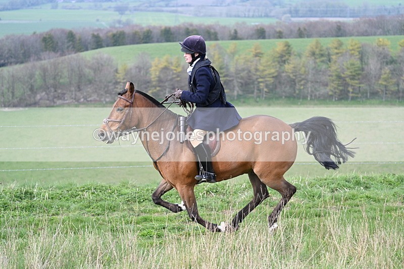 WJ7_8110 - Line 2 A camera