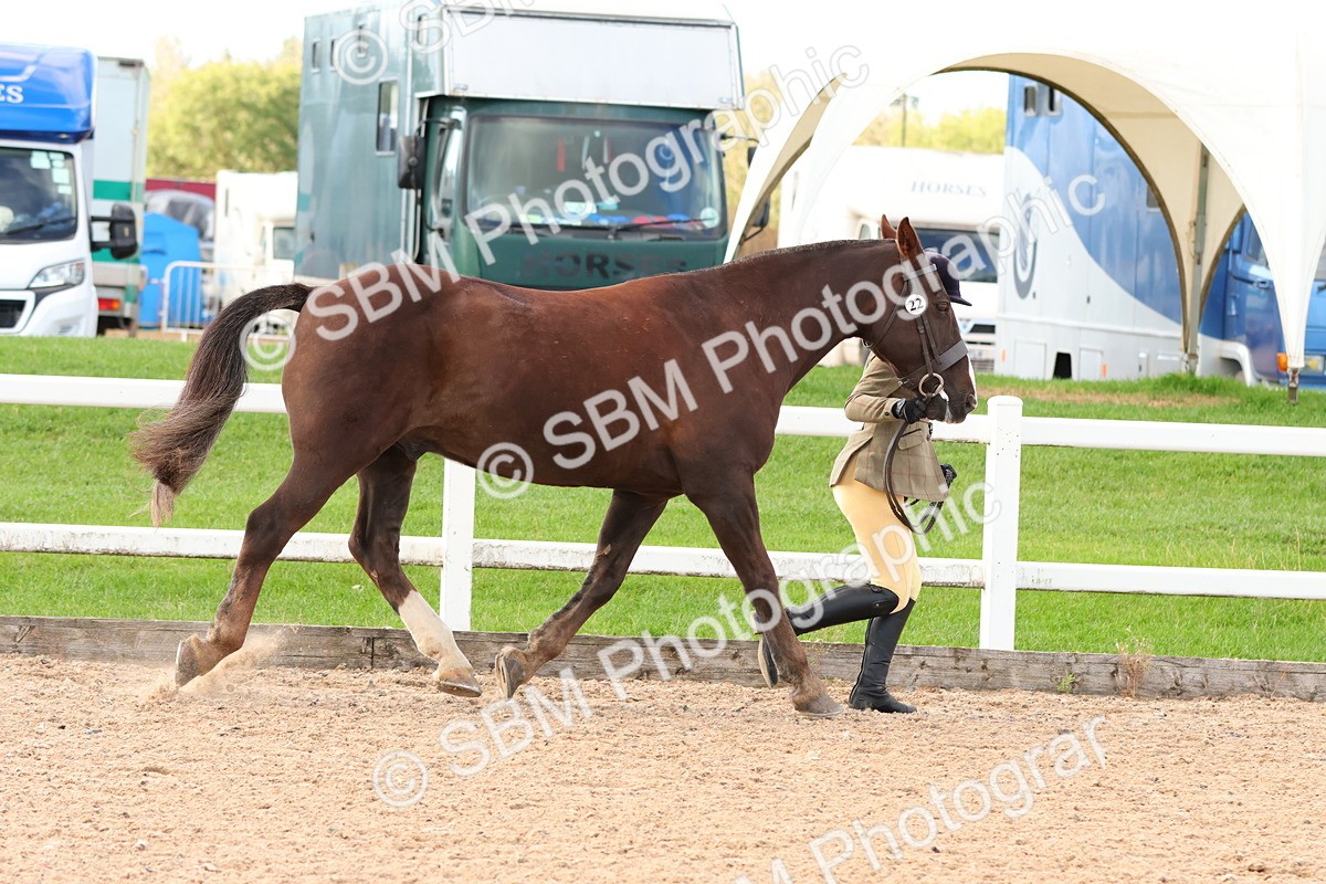 SBM_09200 - Class 204 - Young Handler
