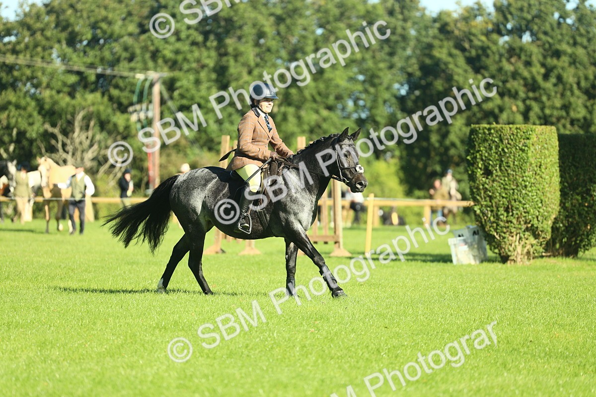 SBM_36455 - S29 - Novice & Newcomers Working Hunter Pony