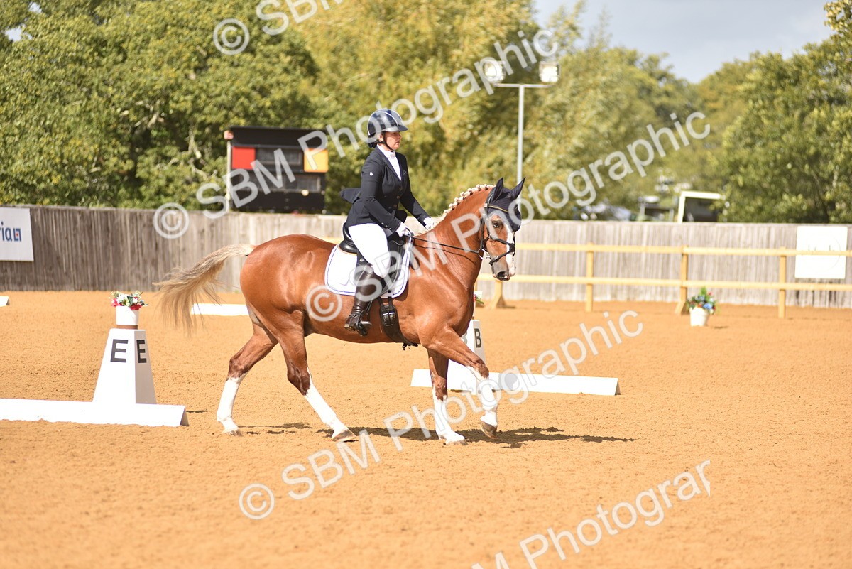 SBM_07820 - D15 - Small Tour Championship Novice 1