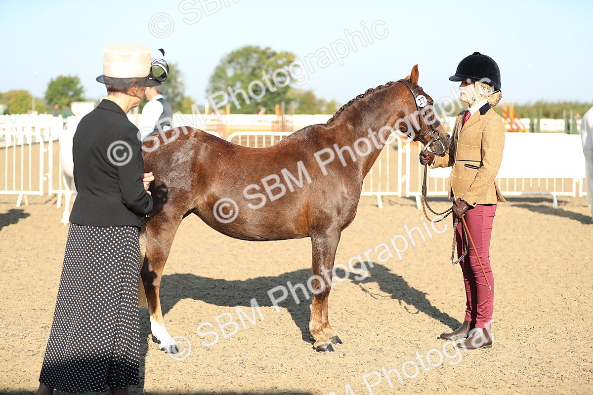 SBM_00036 - Class 40 Best Turned Out IH