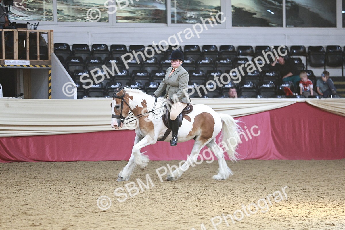 SBM_07113 - Class 10R - Regional Ridden Diamond