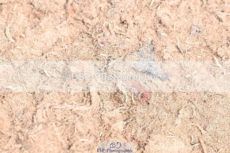 250620-115400-03269 - UnA Cls 5+6 - Novice 1+3
