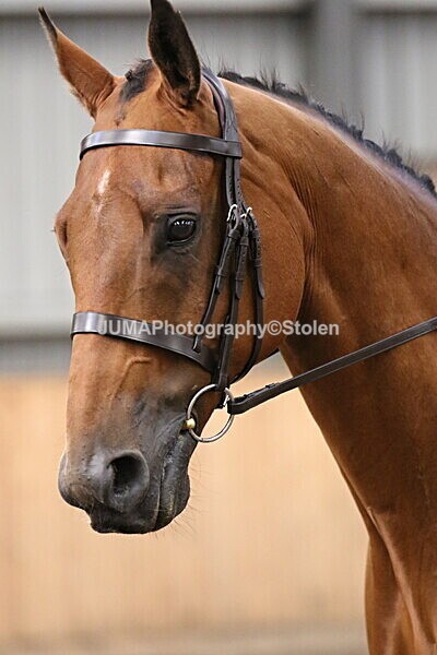 SIAL2481 - Sunday 14th Ridden