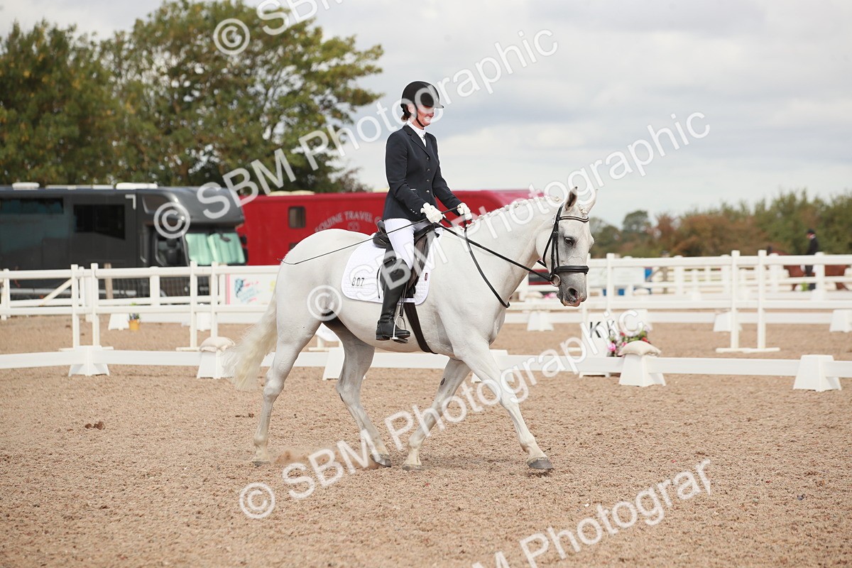 SBM_03878 - Class 31 - Prelim 1