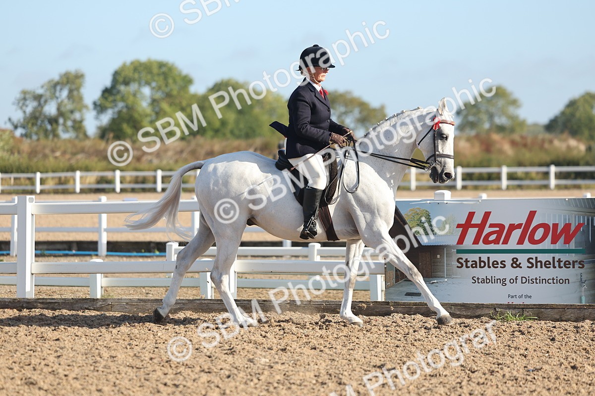 SBM_22117 - Class 801 - Ridden Veterans