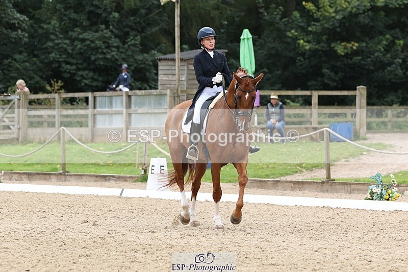 240810-133216-03333 - 188-Amanda.Towle.Shaw-Rockwood.Virtue