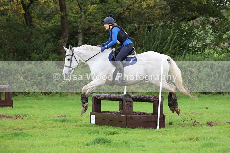 JPP_5454 - Class 4: 80cm: Crossed Logs