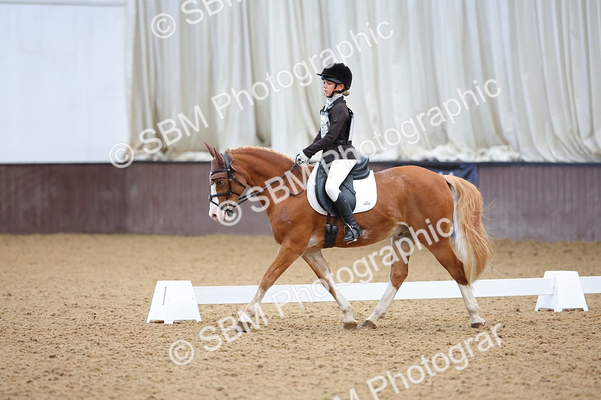 SBM_002958 - Novice