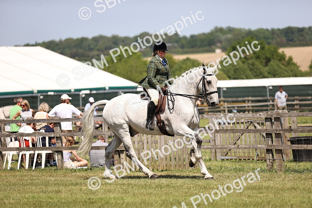 SBM_16097 - Class 79-80 - LIHS BSHA Rising Star Ridden Hunter