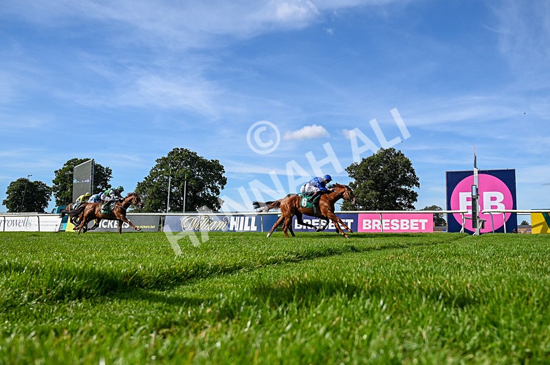 160924-Race 4-Watching Stars-5152 - Race 4