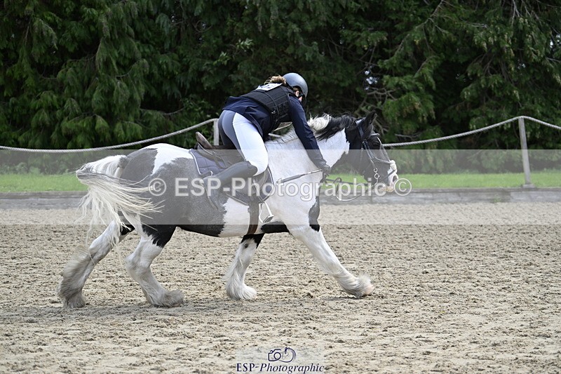 251005A-121449-03672 - Cls 08 Mini 70-75cm