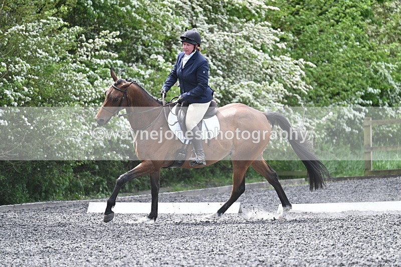 WJ7_8975 - Time 11:32 to 11:54