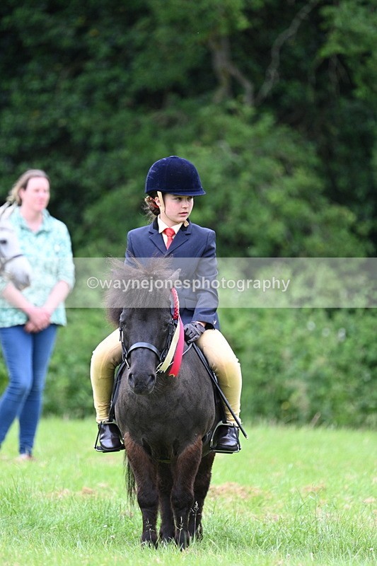 WJ7_4266 - Class 14A Handsome Gelding