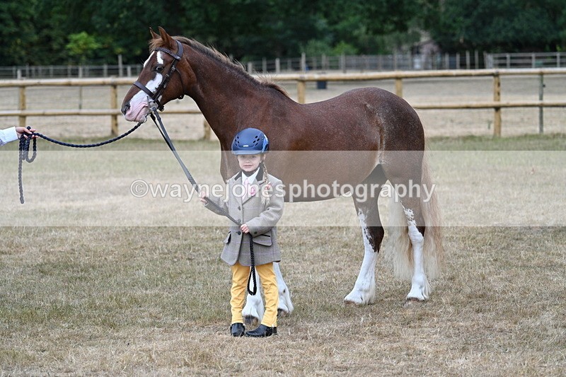 WJ7_9408 - Prettiest Mare Champs