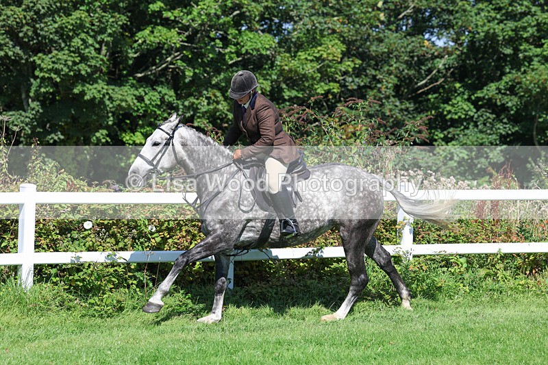 3E7A8412 - Class 4: Novice working Hunter