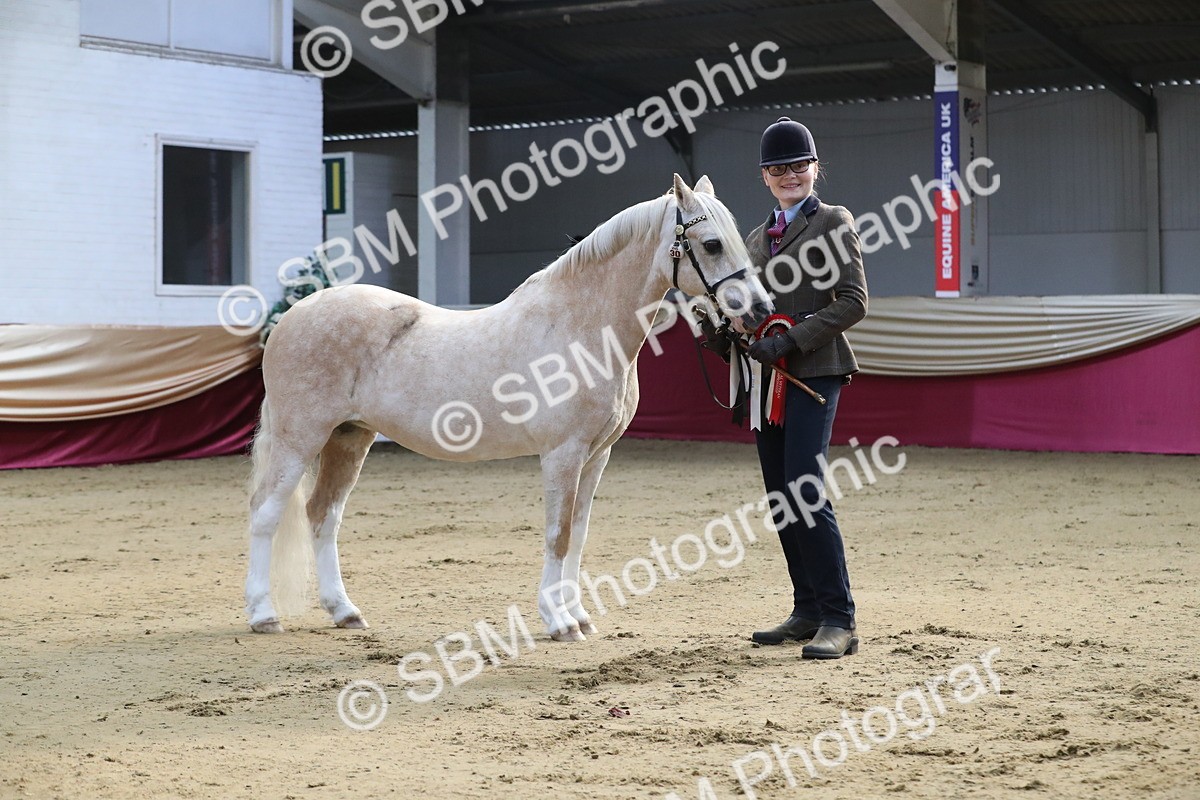SBM_00315 - Class 1a - Area IH Diamond