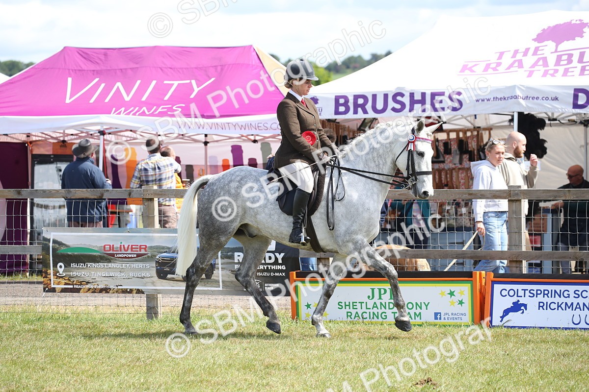 SBM_13306 - Class 95-96 - LIHS BSHA Rising Star Hack Riding Horse