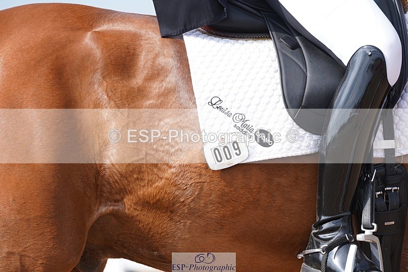 250404-112318-05429 - 009-Sarah.Stewart-Djoe.Dimaggio