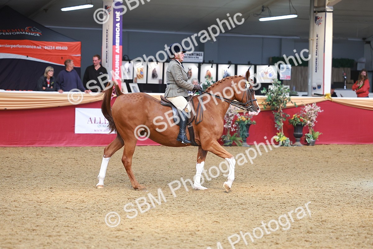 SBM_10583 - Class 103 - HOYS Veteran Qualifier - Ridden Pre Vet