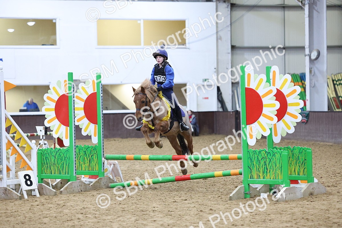 SBM_001082 - Class 3 - Christmas Tree Stakes - 60cm