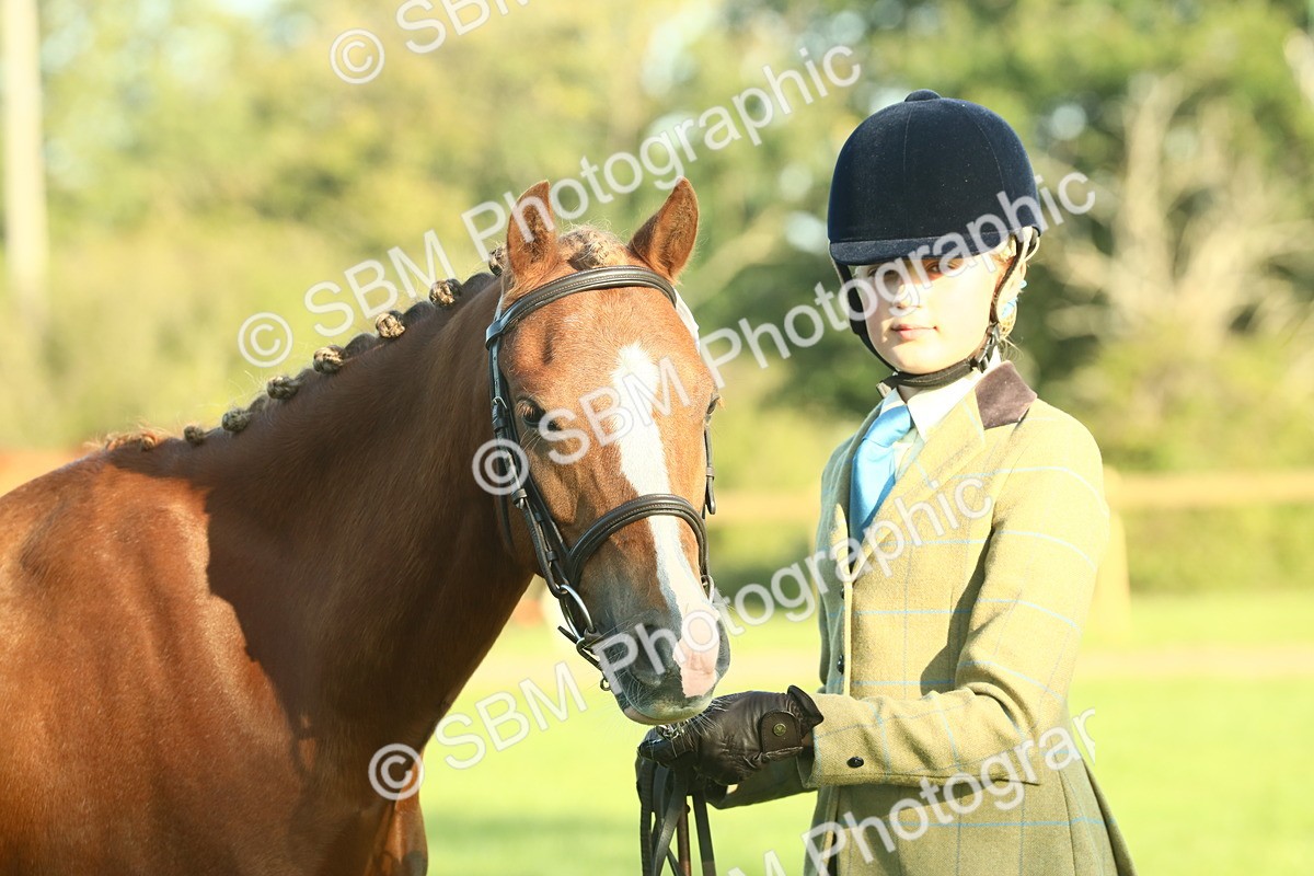 SBM_57492 - S37 - Starters In Hand Showing