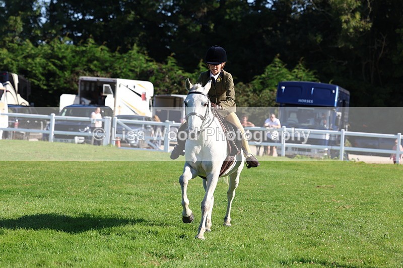 3E7A7654 - Class 1: Novice Working Hunter Pony